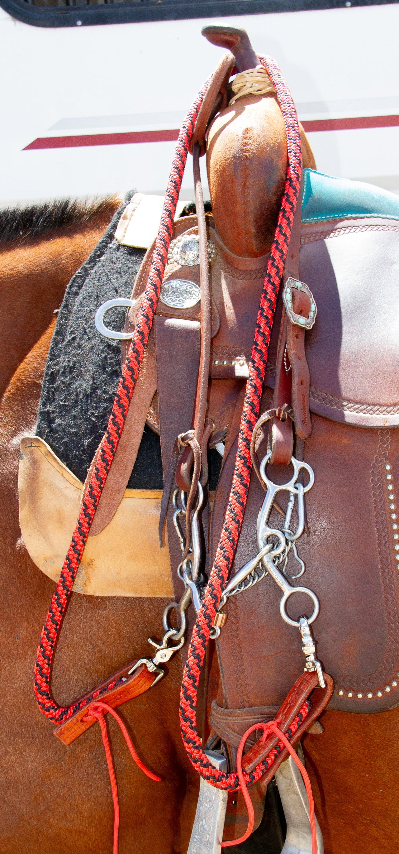 Close-up of a horse saddle with reins and other tack on a horse.