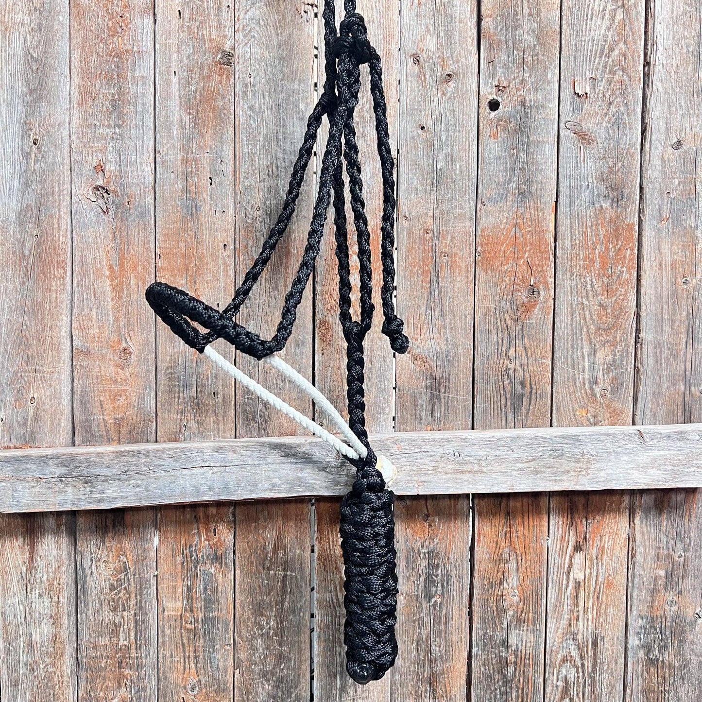 Black rope halter with a white lariat noseband with lead