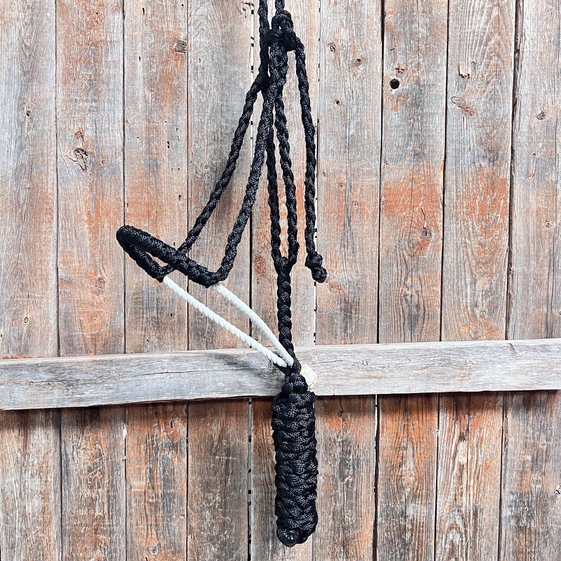 Black rope halter with a white lariat noseband with lead