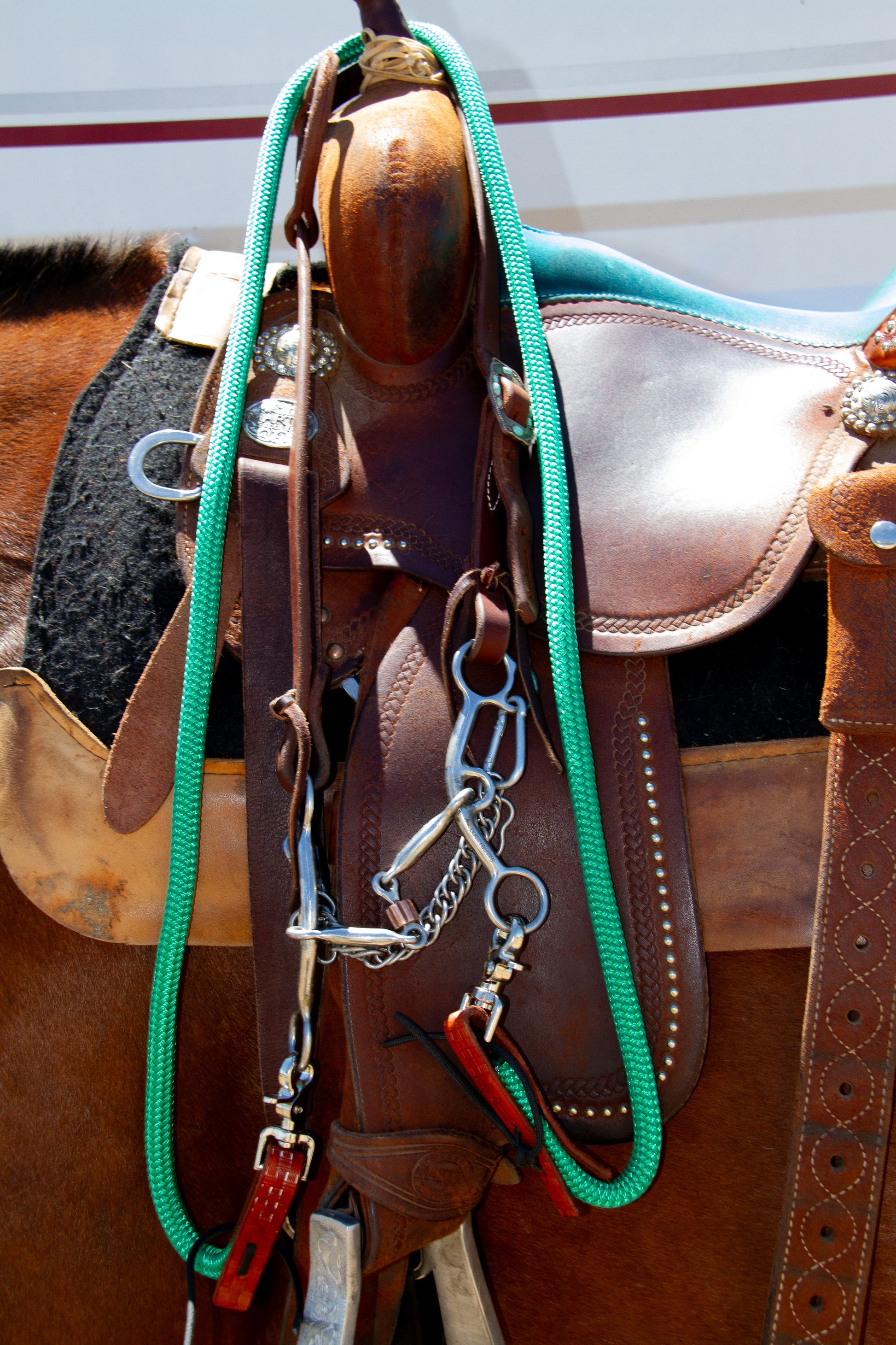 Close-up of a brown leather saddle with green reins and metal hardware on a horse.
