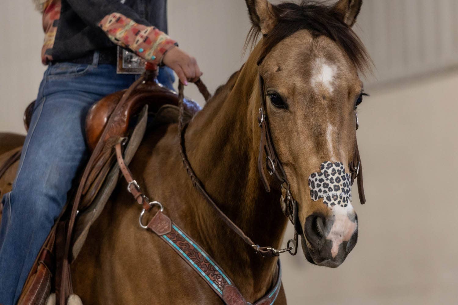 EquiBreathe™ Equine Nasal Patch - Cheetah by bar3H Equine – Custom Western Tack Australia