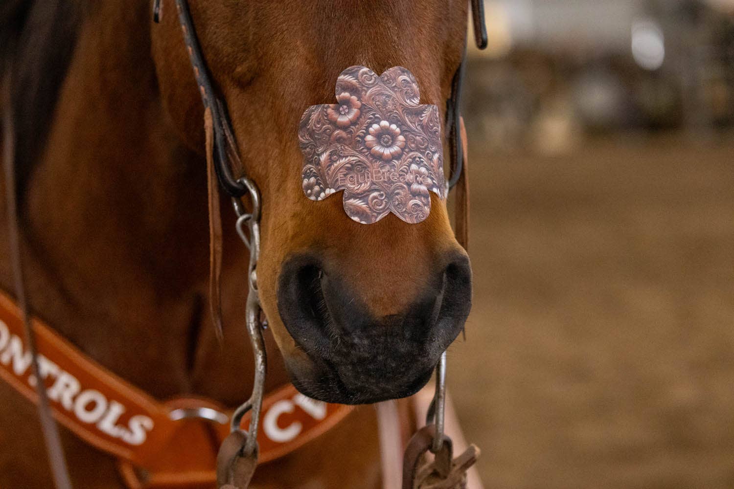 EquiBreathe™ Equine Nasal Patch - Tooled Leather by bar3H Equine – Custom Western Tack Australia