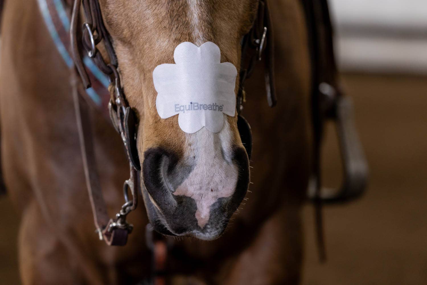 EquiBreathe™ Equine Nasal Patch - White by bar3H Equine – Custom Western Tack Australia