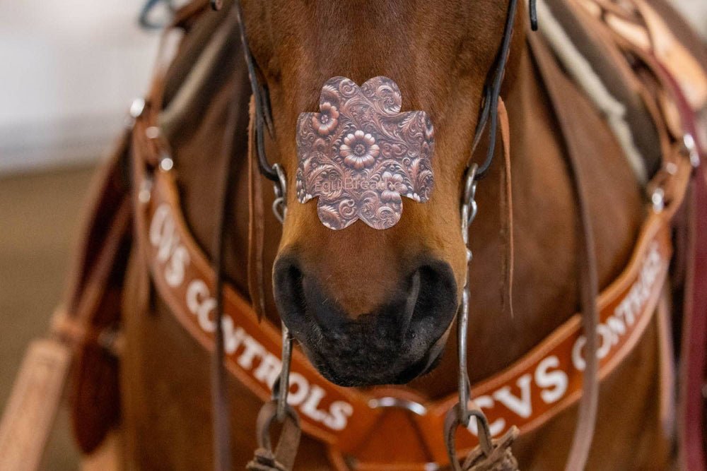 EquiBreathe mixed value pack by bar3H Equine – Custom Western Tack Australia