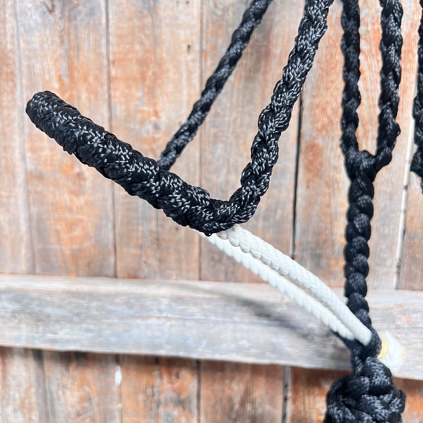 Close-up of a black and white rope swing against a wooden background
