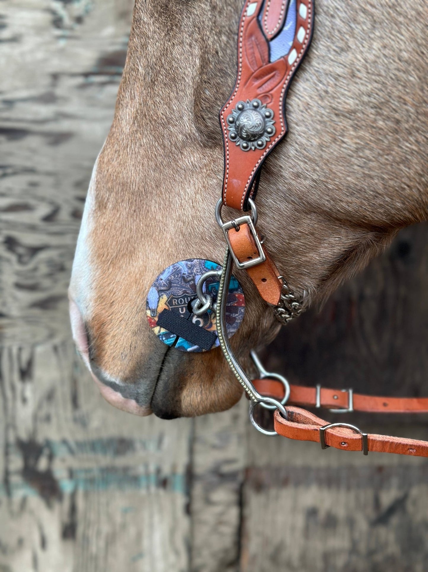 Neoprene Bit Guards – Comfort, Protection & Colours Galore! by bar3H Equine – Custom Western Tack Australia