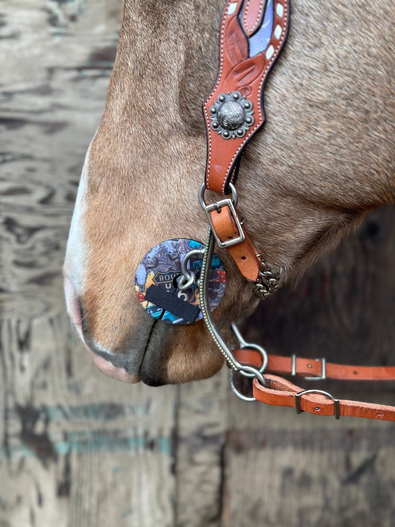 Neoprene Bit Guards – Comfort, Protection & Colours Galore! by bar3H Equine – Custom Western Tack Australia