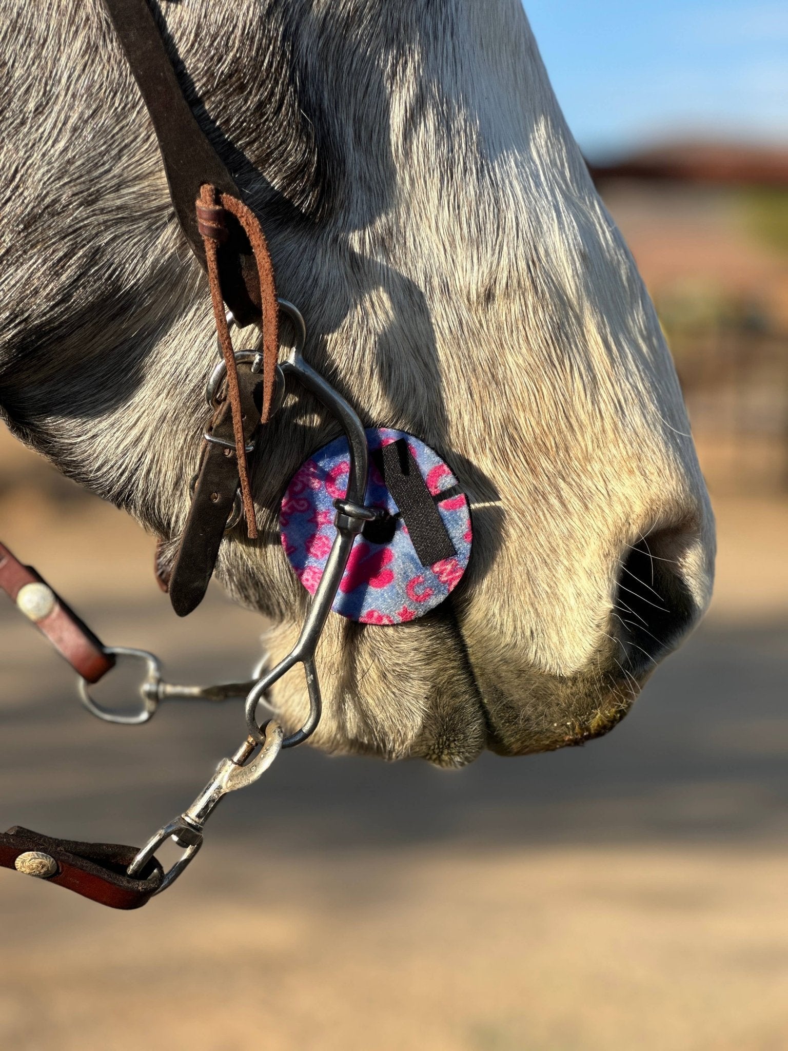 Neoprene Bit Guards – Comfort, Protection & Colours Galore! by bar3H Equine – Custom Western Tack Australia