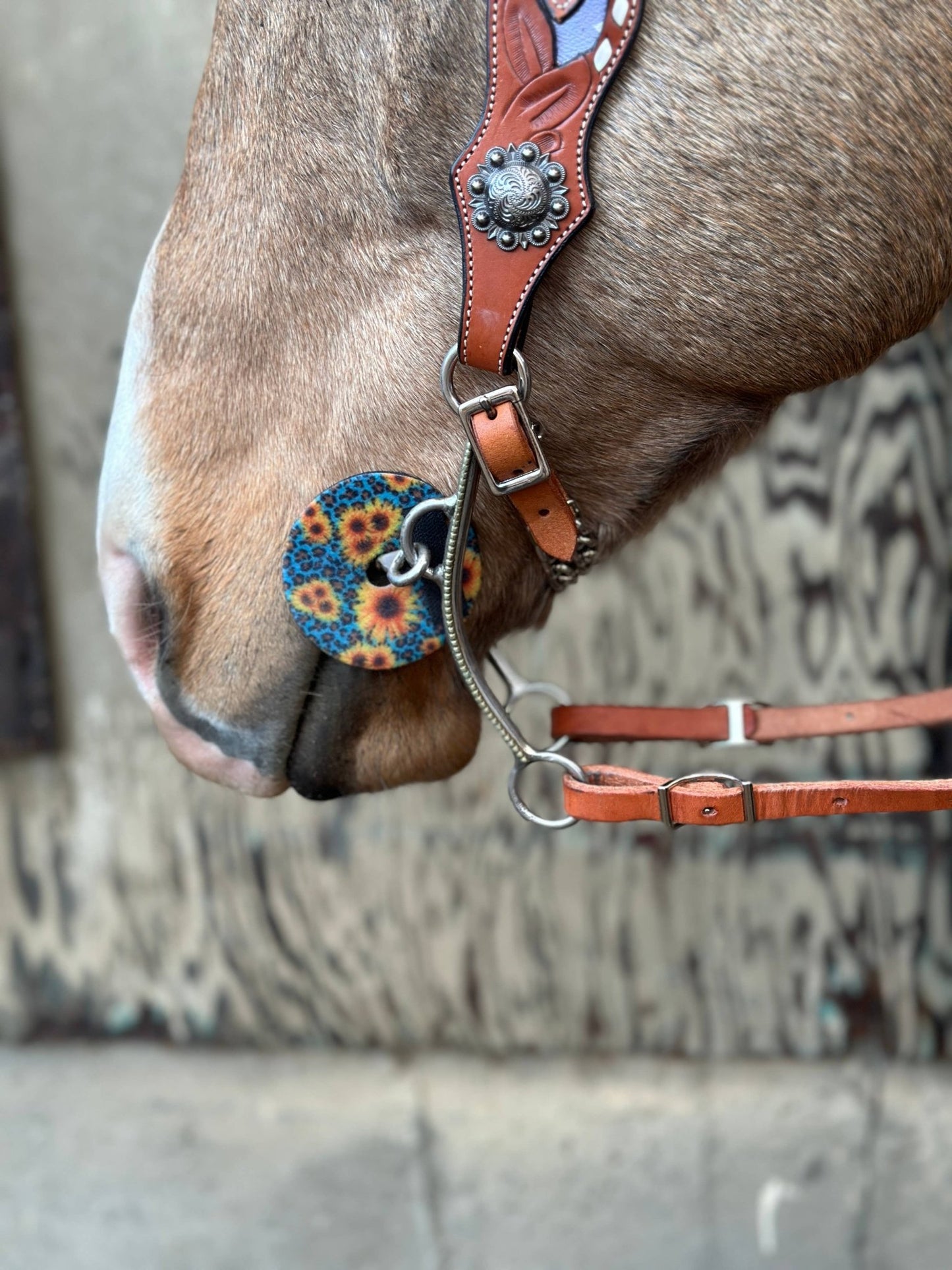 Neoprene Bit Guards – Comfort, Protection & Colours Galore! by bar3H Equine – Custom Western Tack Australia
