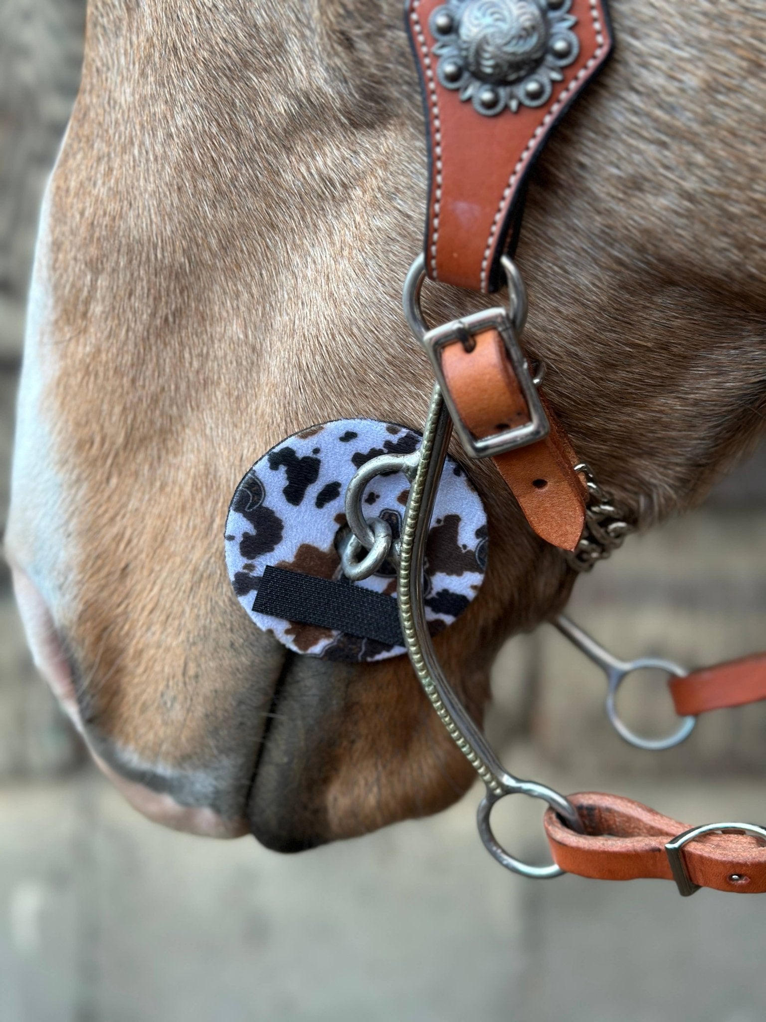 Neoprene Bit Guards – Comfort, Protection & Colours Galore! by bar3H Equine – Custom Western Tack Australia