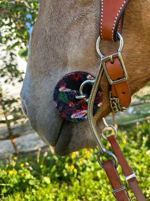 Neoprene Bit Guards – Comfort, Protection & Colours Galore! by bar3H Equine – Custom Western Tack Australia
