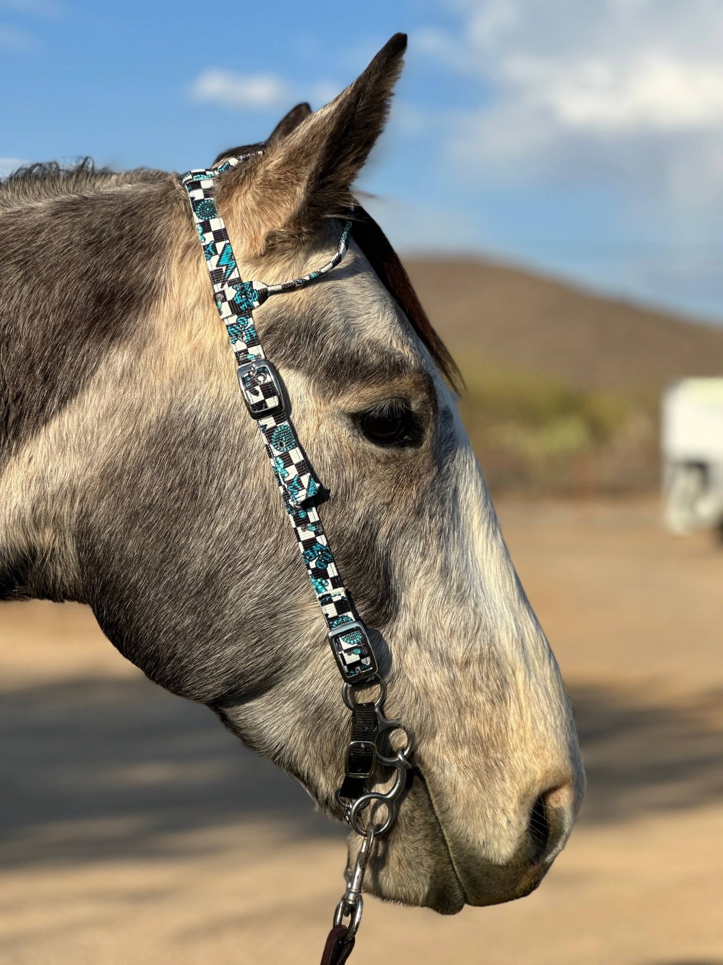Nylon One Ear Headstall by bar3H Equine – Custom Western Tack Australia