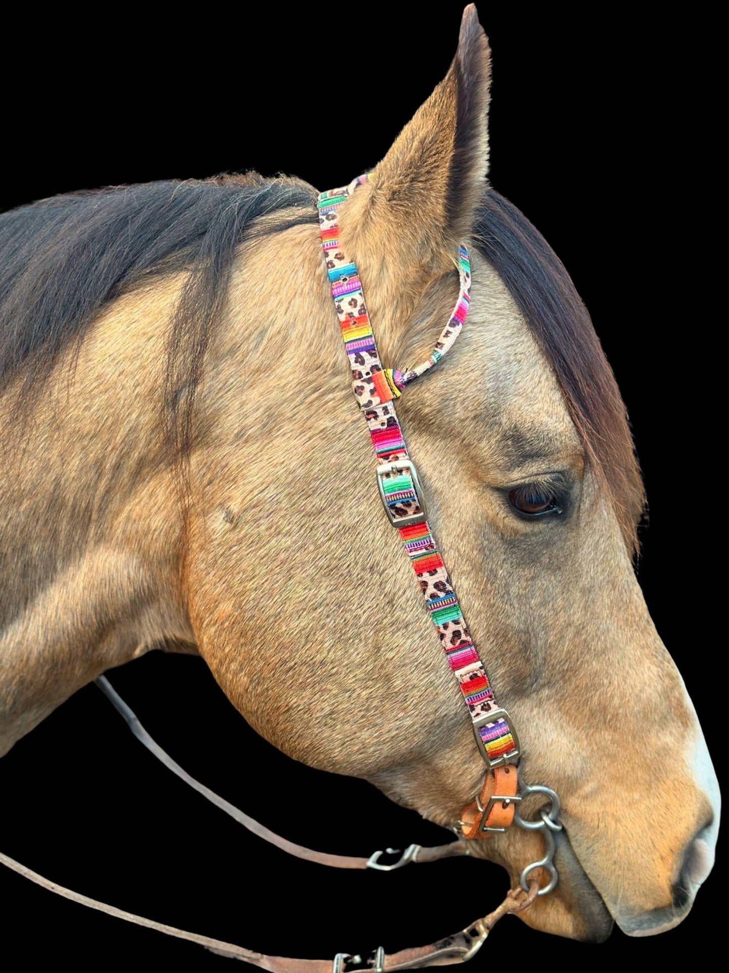 Nylon One Ear Headstall by bar3H Equine – Custom Western Tack Australia