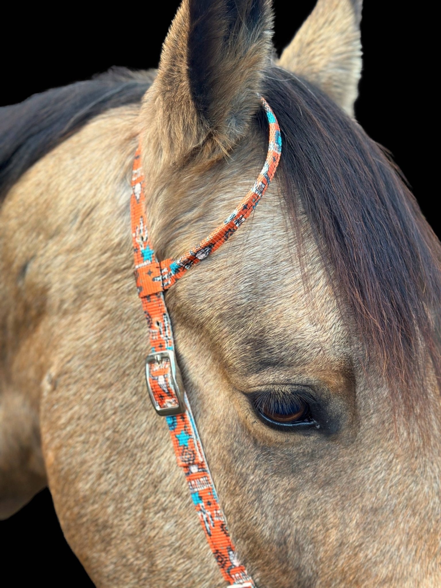 Premium Nylon One Ear Bridle pink | Schulz Equine equine tack Australia