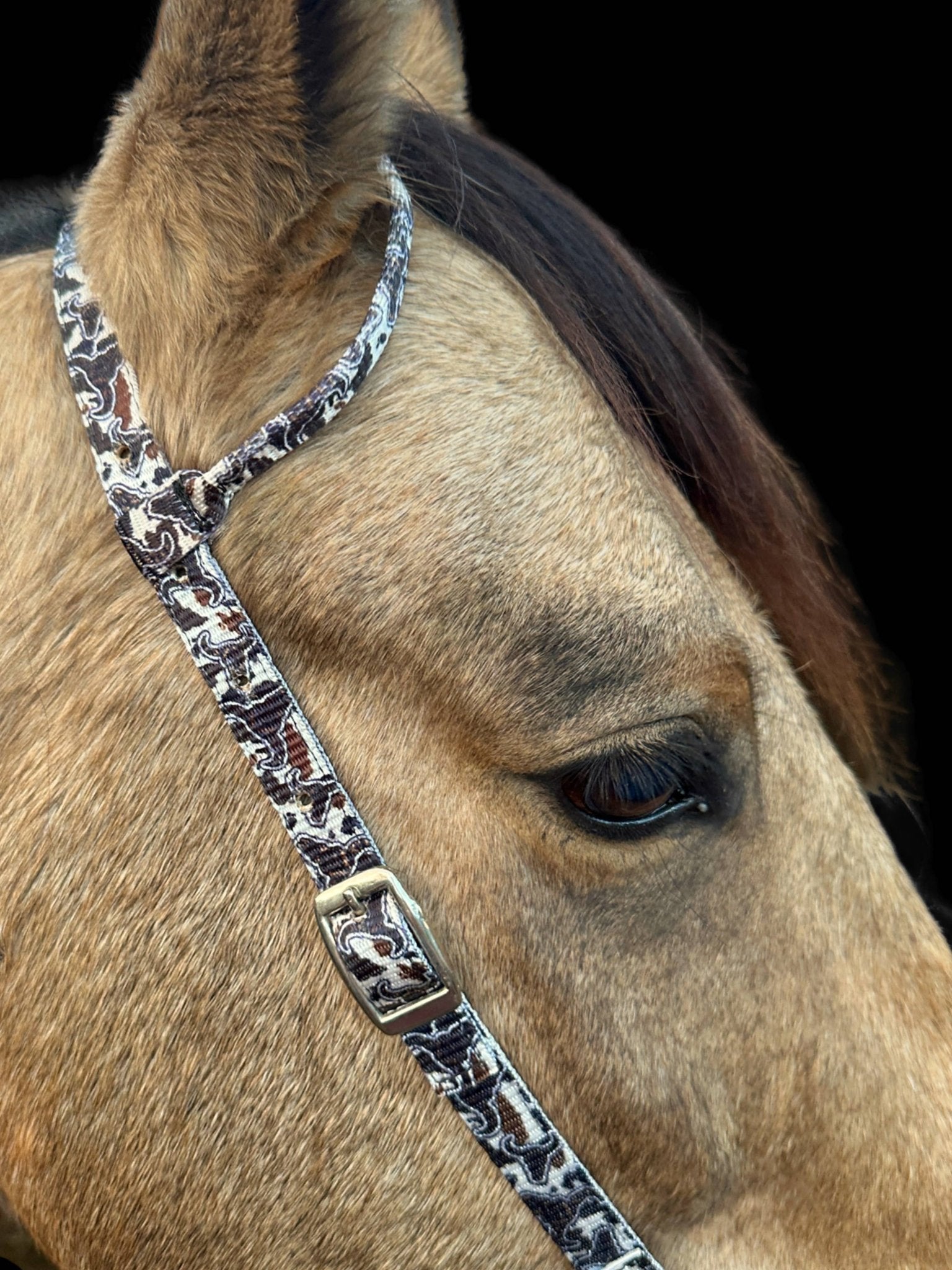 Nylon One Ear Headstall by bar3H Equine – Custom Western Tack Australia