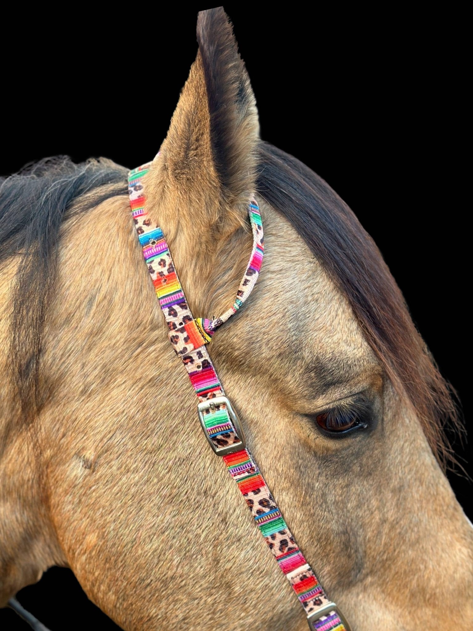 Premium Nylon One Ear Bridle teal | Schulz Equine equine tack Australia