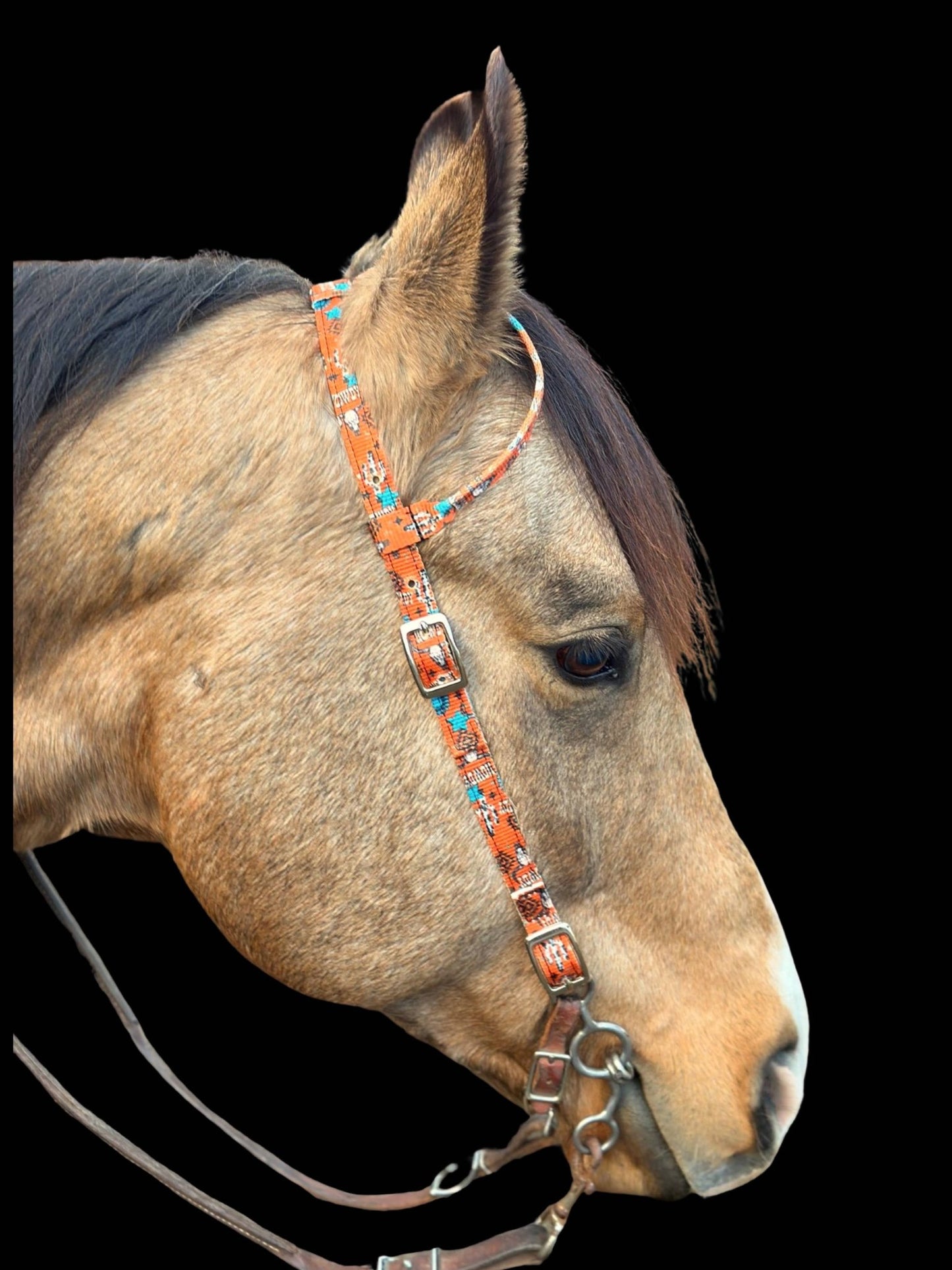 Nylon One Ear Headstall by bar3H Equine – Custom Western Tack Australia