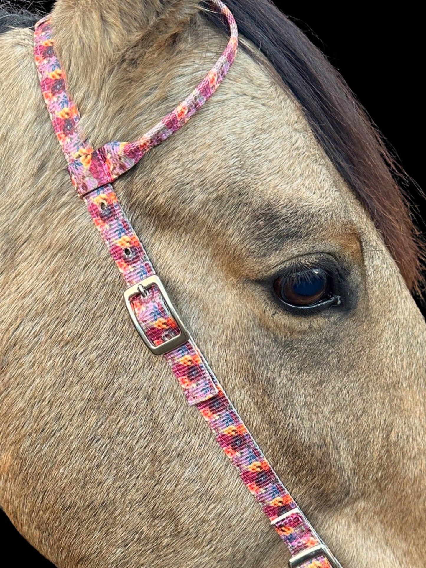 Nylon One Ear Headstall by bar3H Equine – Custom Western Tack Australia