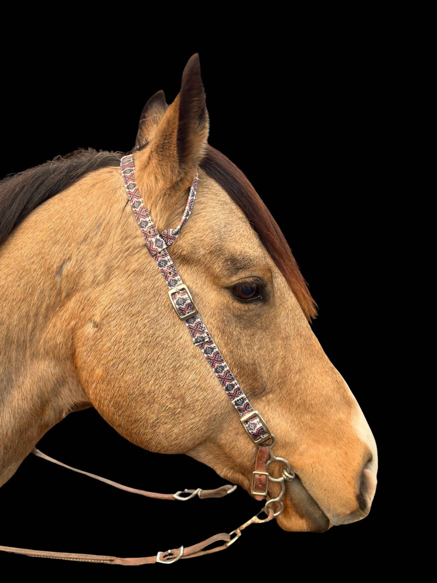 Premium Nylon One Ear Bridle colours | Schulz Equine equine tack Australia