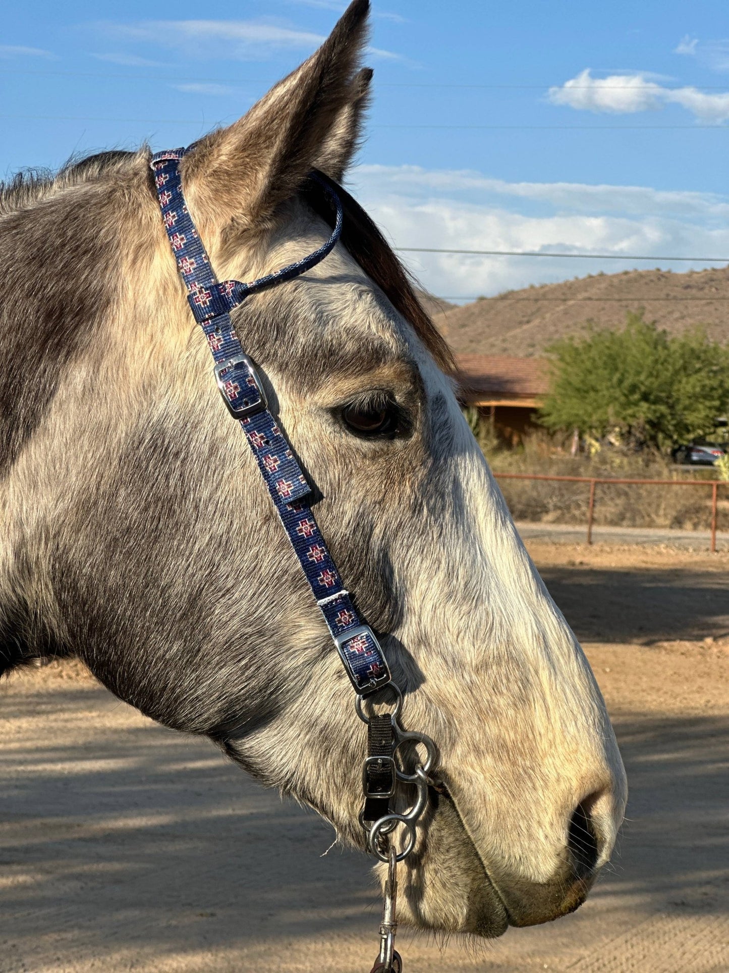 Nylon One Ear Headstall by bar3H Equine – Custom Western Tack Australia