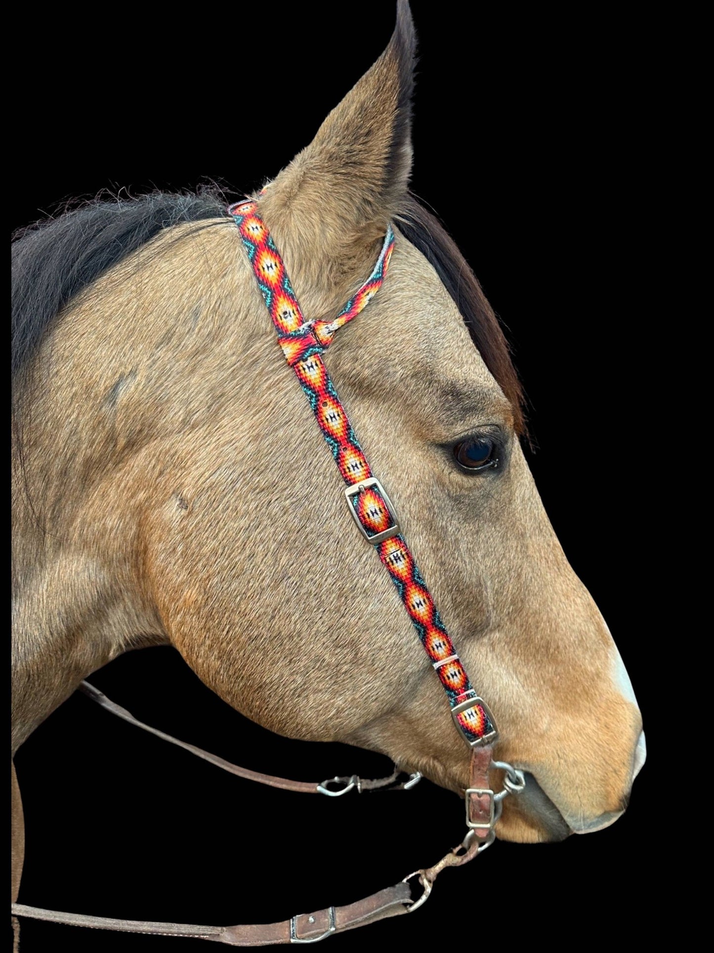 Nylon One Ear Headstall by bar3H Equine – Custom Western Tack Australia
