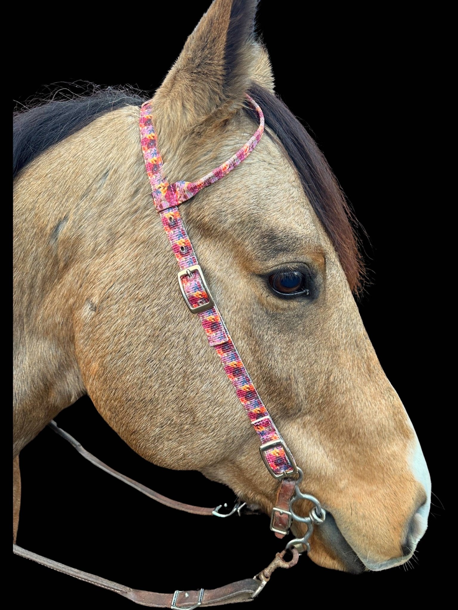 Nylon One Ear Headstall by bar3H Equine – Custom Western Tack Australia