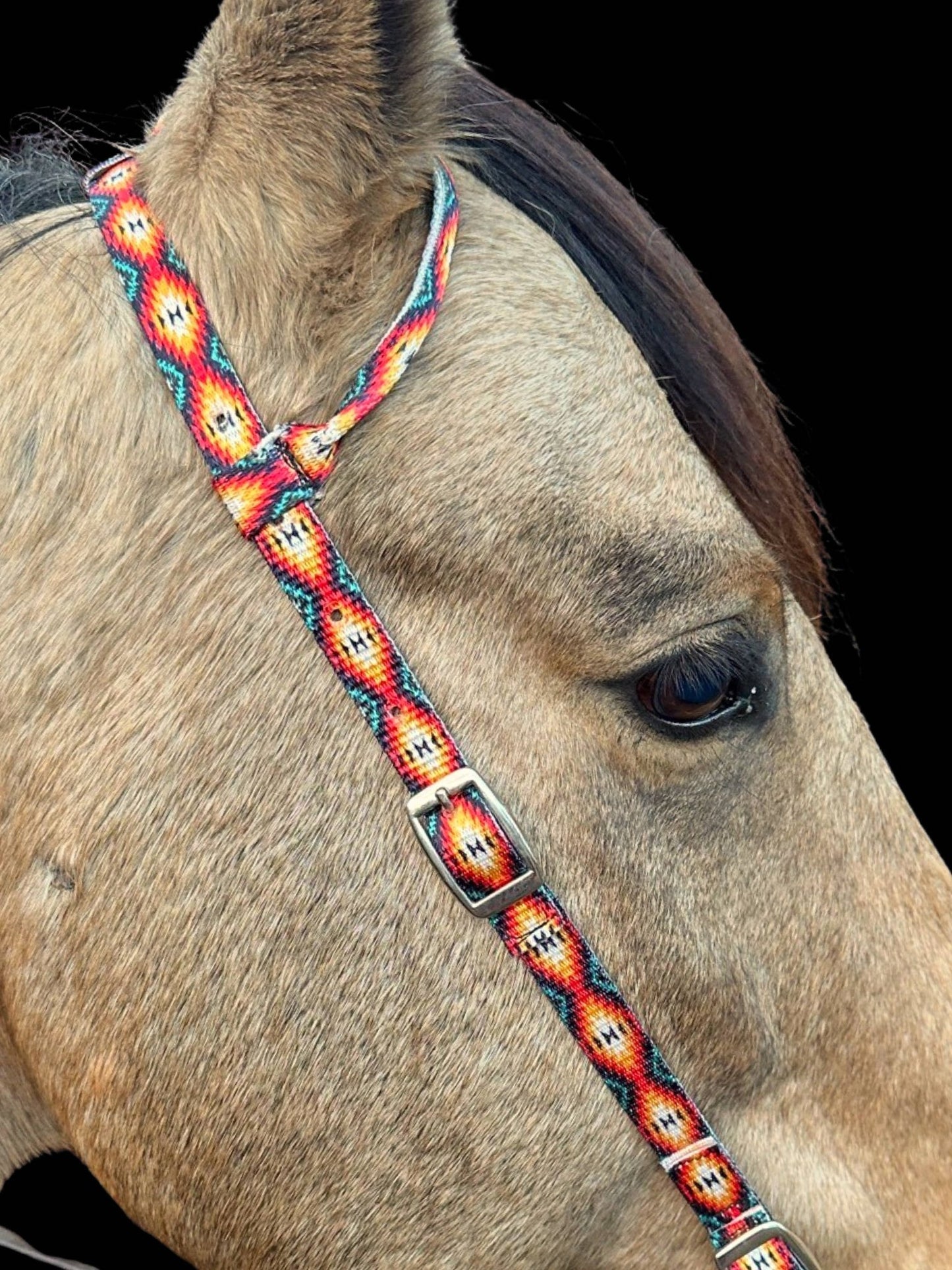 Premium Nylon One Ear Bridle blue | Schulz Equine equine tack Australia