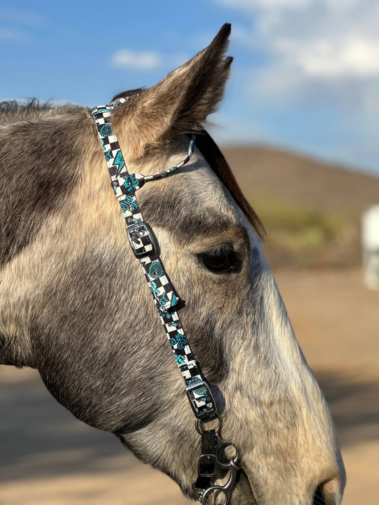 Premium Nylon One Ear Bridle red | Schulz Equine equine tack Australia