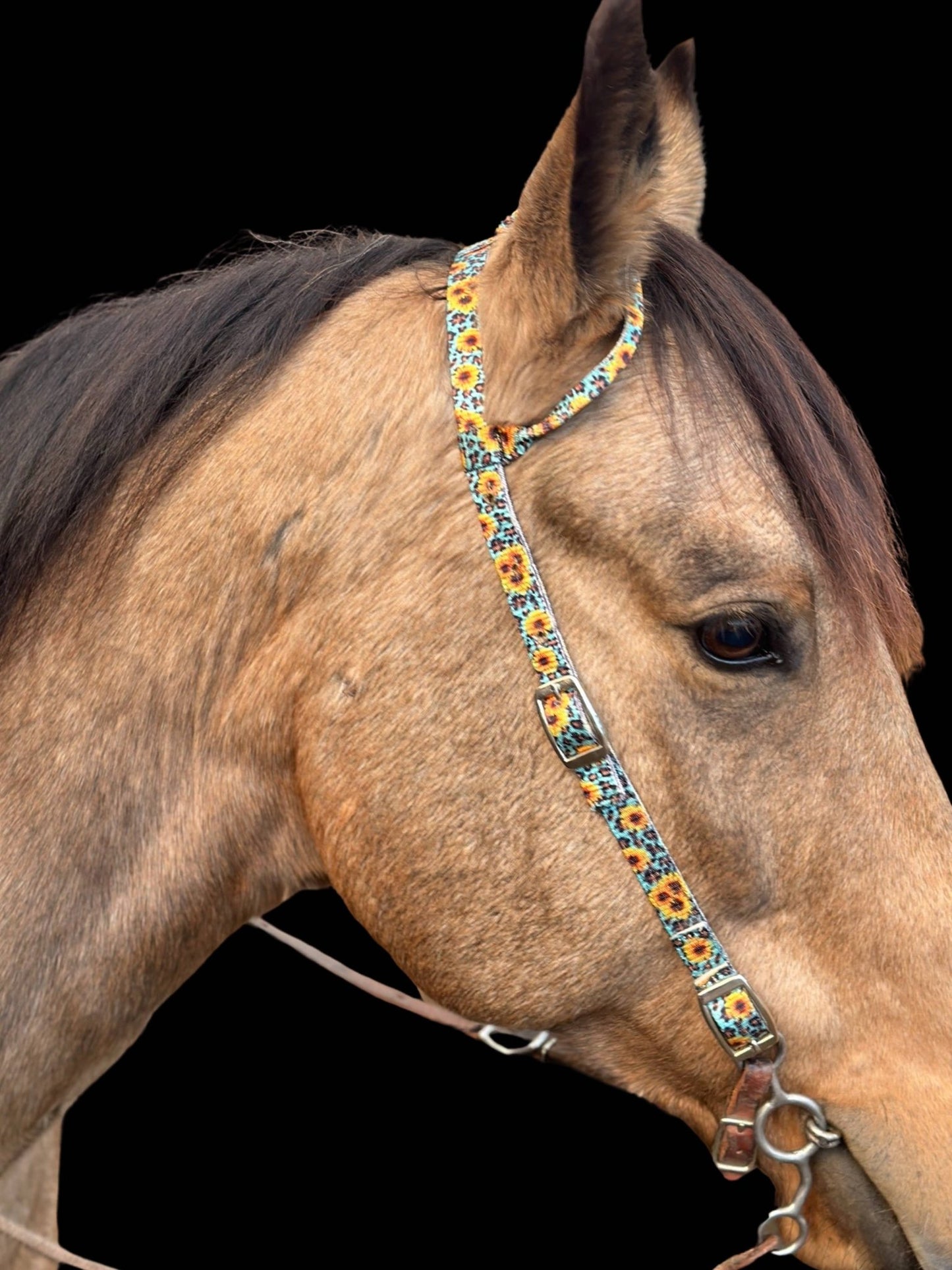 Nylon One Ear Headstall by bar3H Equine – Custom Western Tack Australia