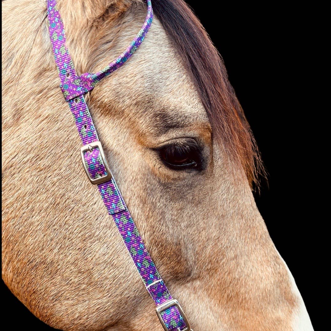 Premium Nylon One Ear Bridle purple | Schulz Equine equine tack Australia