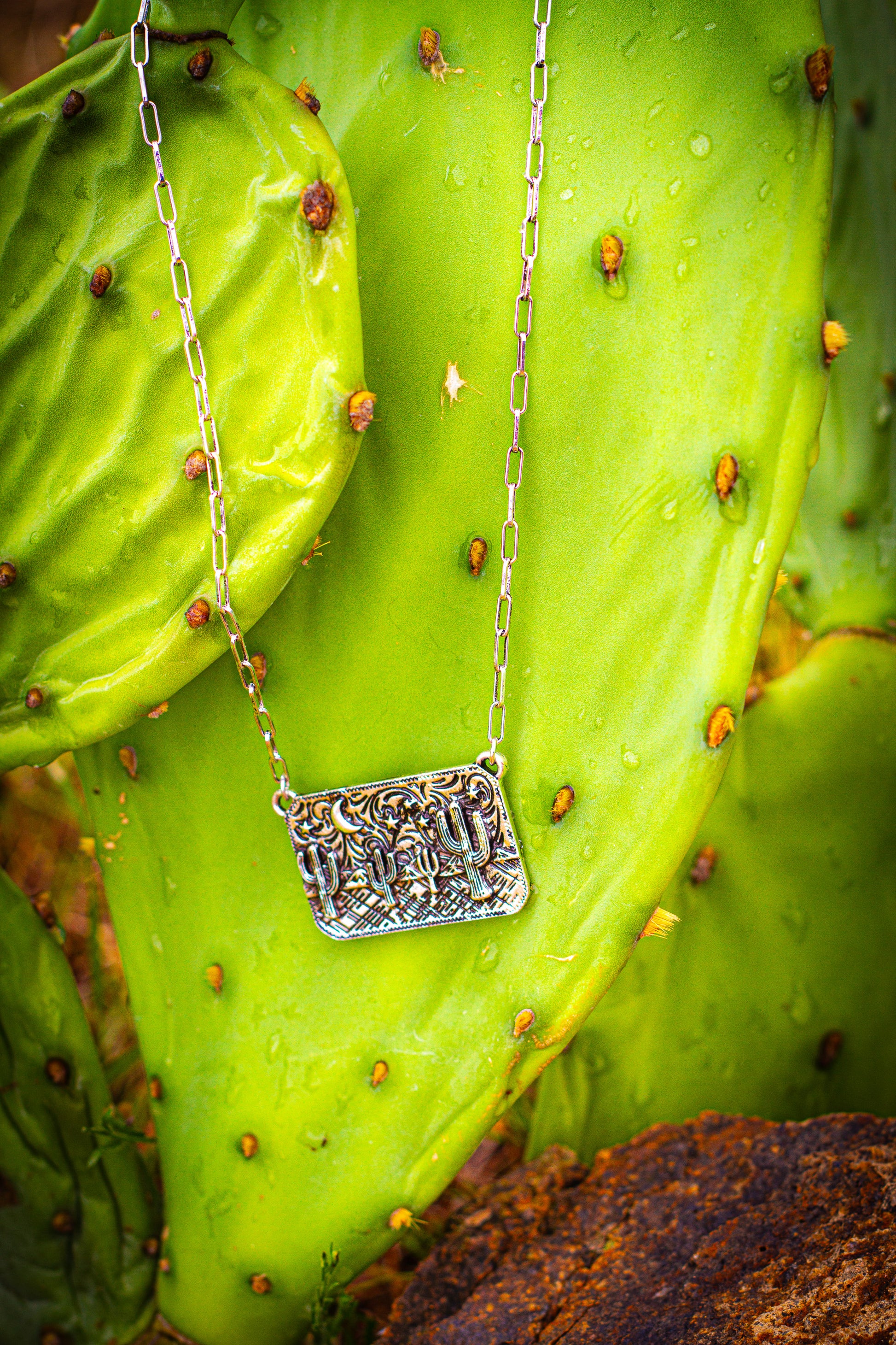 Silver necklace with a rectangular cactus landscape pendant on a green cactus surface