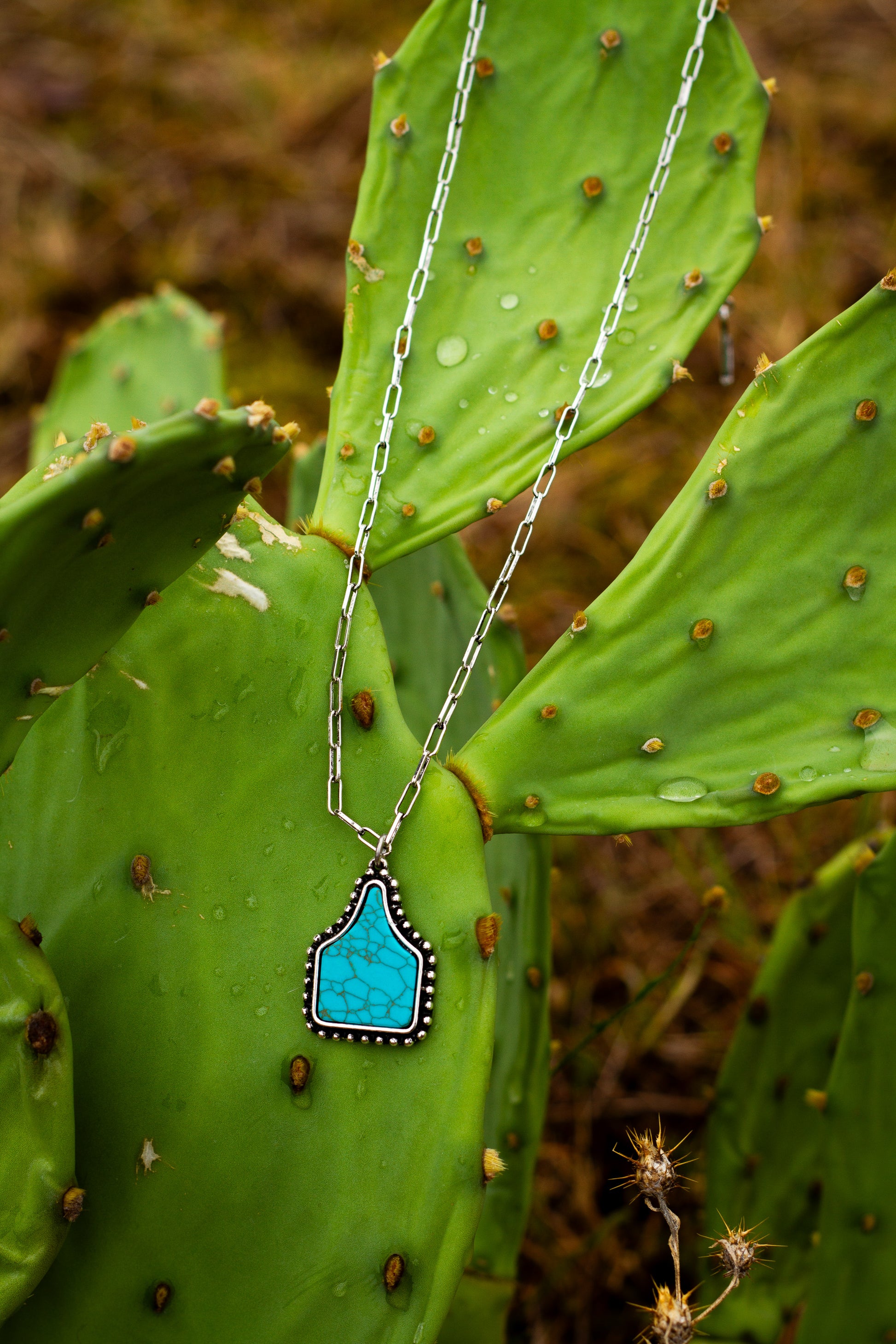 Turquoise pendant necklace on a chain against a cactus background