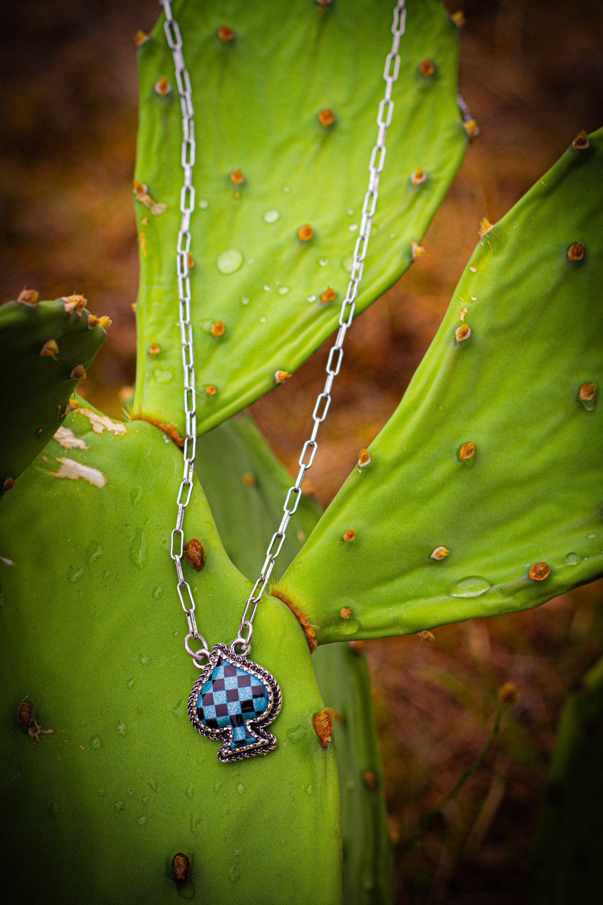 Necklace with a checkered pendant on a green cactus leaf